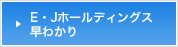 E・Jホールディングス早わかり