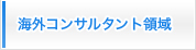 海外コンサルタント事業