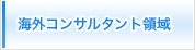 海外コンサルタント事業